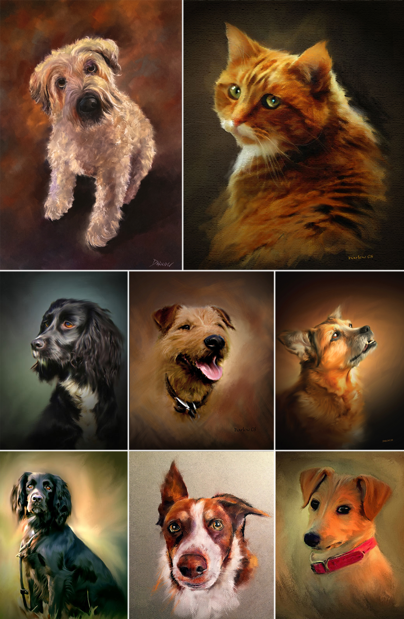 Pet Portraits
